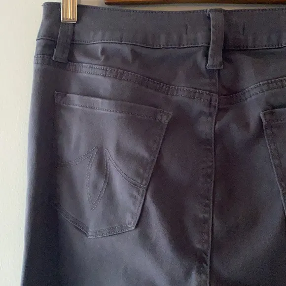 Anthropologie Level 99 women’s stretch skinny gray jeans, pockets, size 29