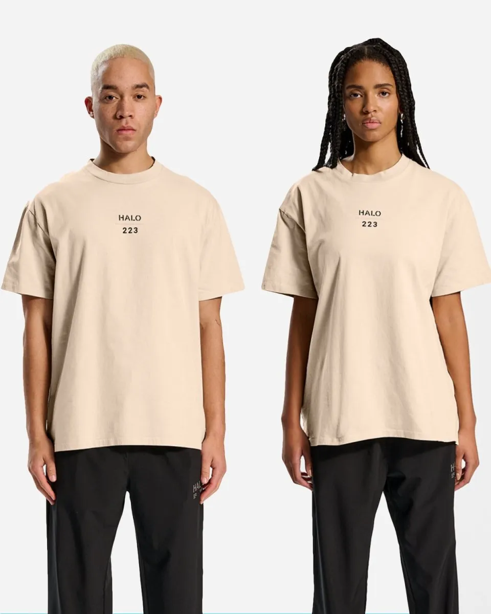 Halo Heavy Graphic Tee - Oyster Gray