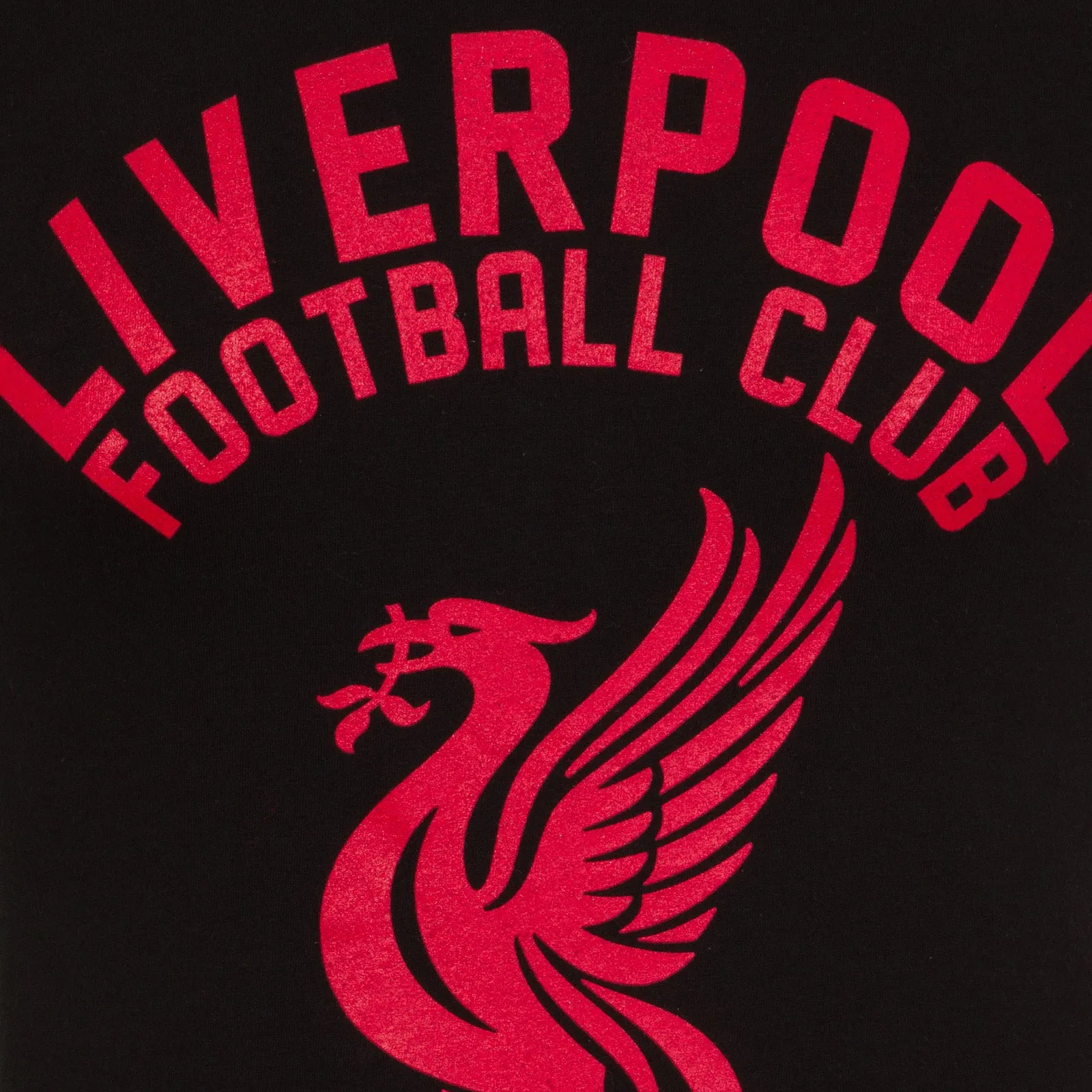 Liverpool FC Mens Graphic T-Shirt