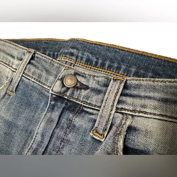 NEW Hudson Jeans | Custom Barbara High Rise Skinny Jeans in Lark (26)