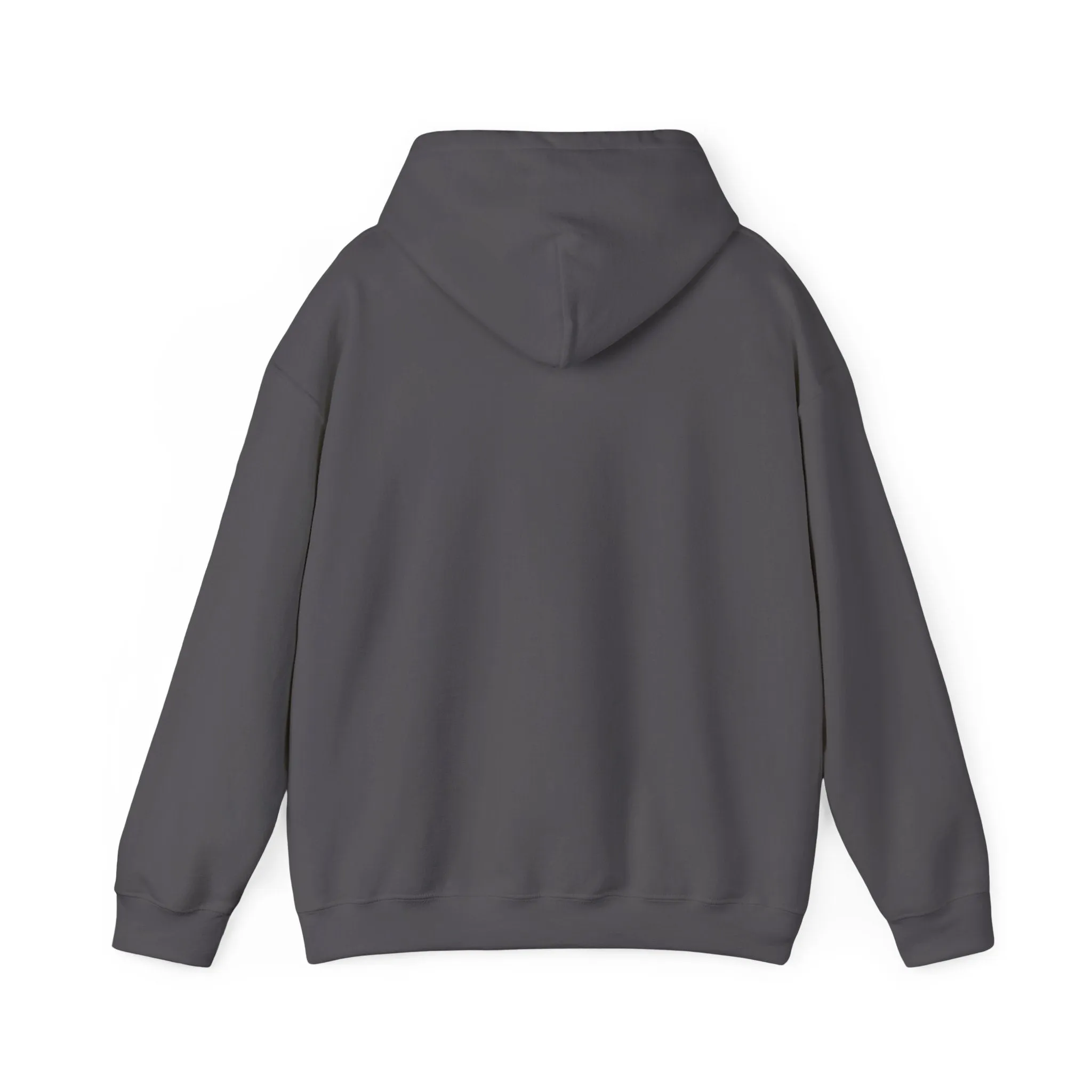 "GEEKED" | Oversized Hoodie