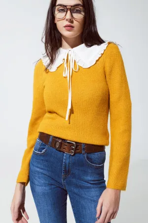 Round neck chunky ribbed jumper in mustard
