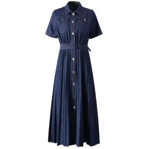 Tise  Single Breasted Denim Dress
